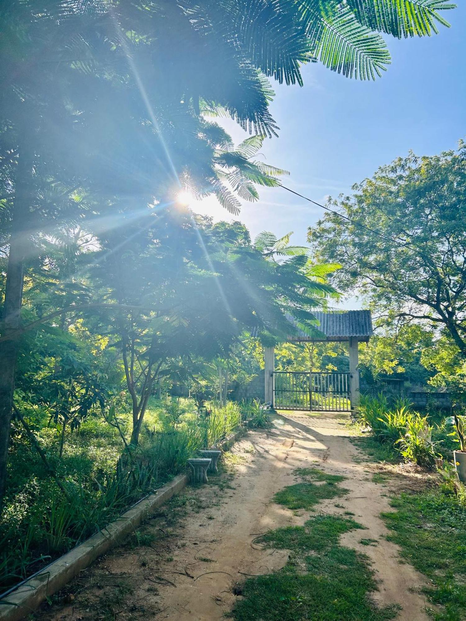 Neem Holiday Bungalow Yala Tissamaharama Exterior foto